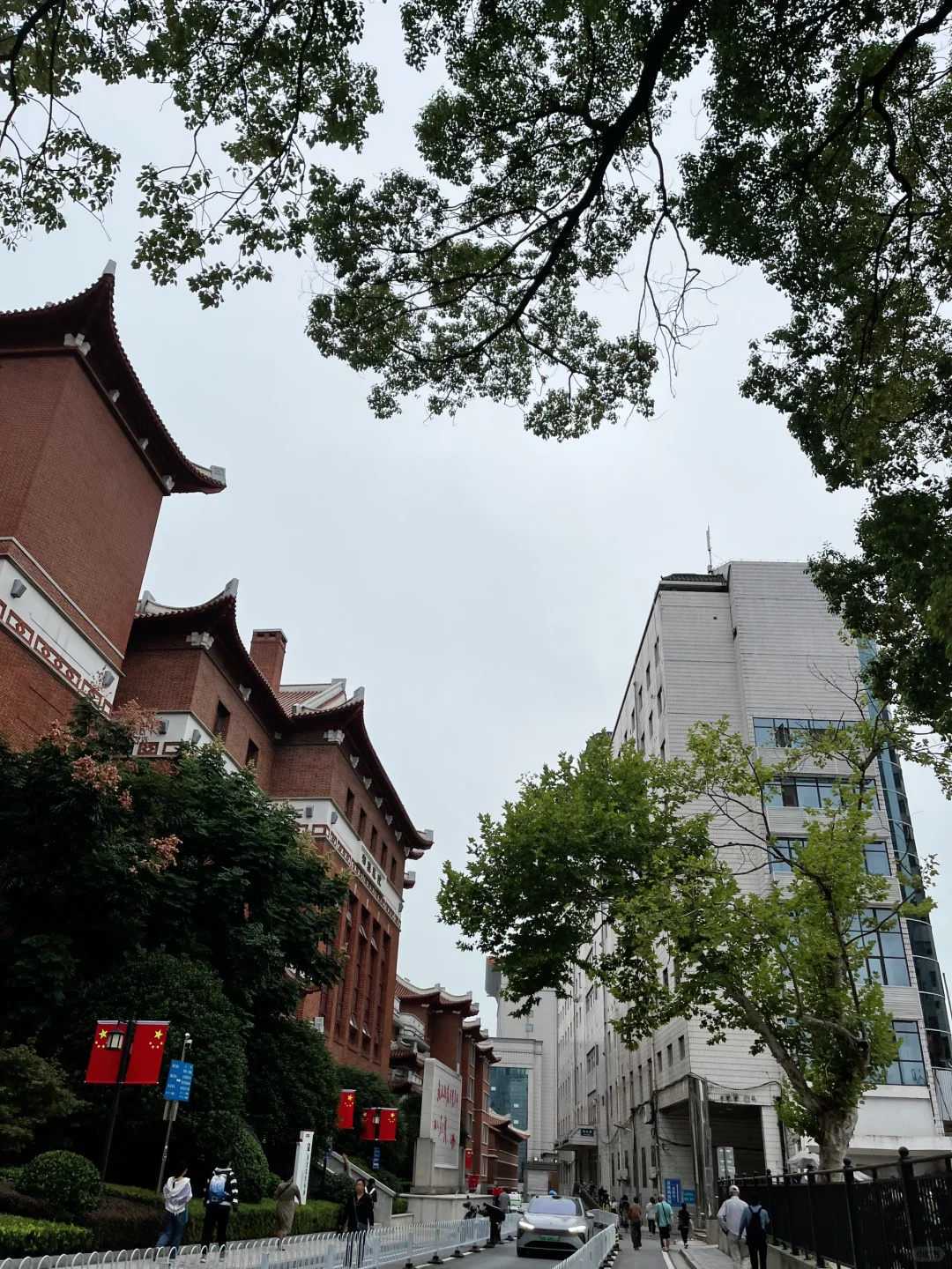 三步实现生育梦想:科学供卵助孕流程详解