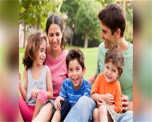 揭露‘博士卵源’承诺：学历造假产业链的真相与警示